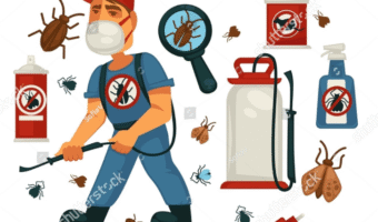 Screenshot 2025-10-19 222747