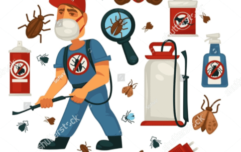 Screenshot 2025-10-19 222747