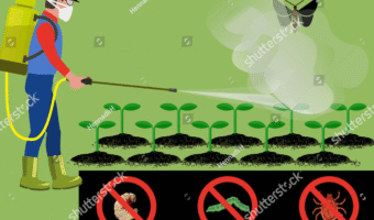 Screenshot 2025-10-19 223756