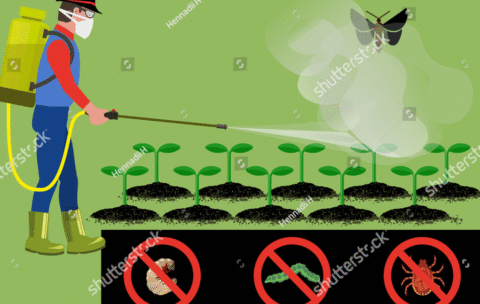 Screenshot 2025-10-19 223756