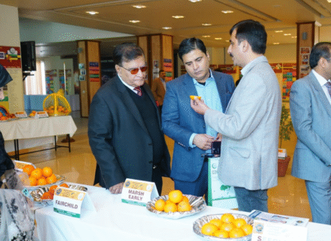 Screenshot 2025-11-07 233802